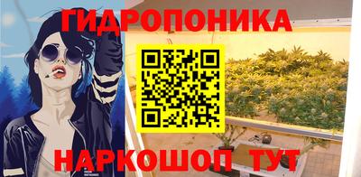 a pvp Чебоксары